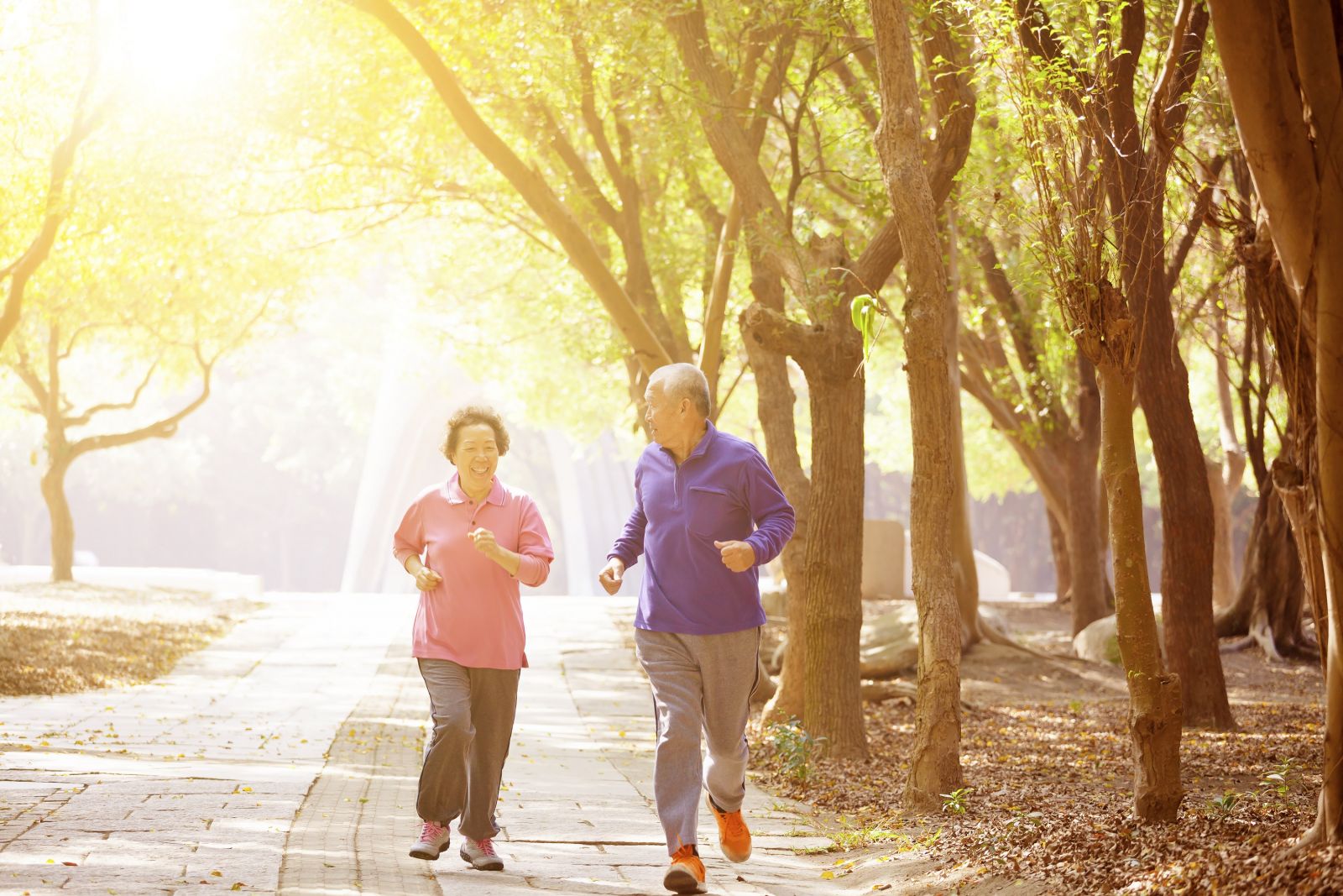 Tập thể dục nhẹ nhàng đều đặn giúp chăm sóc sức khỏe người cao tuổi