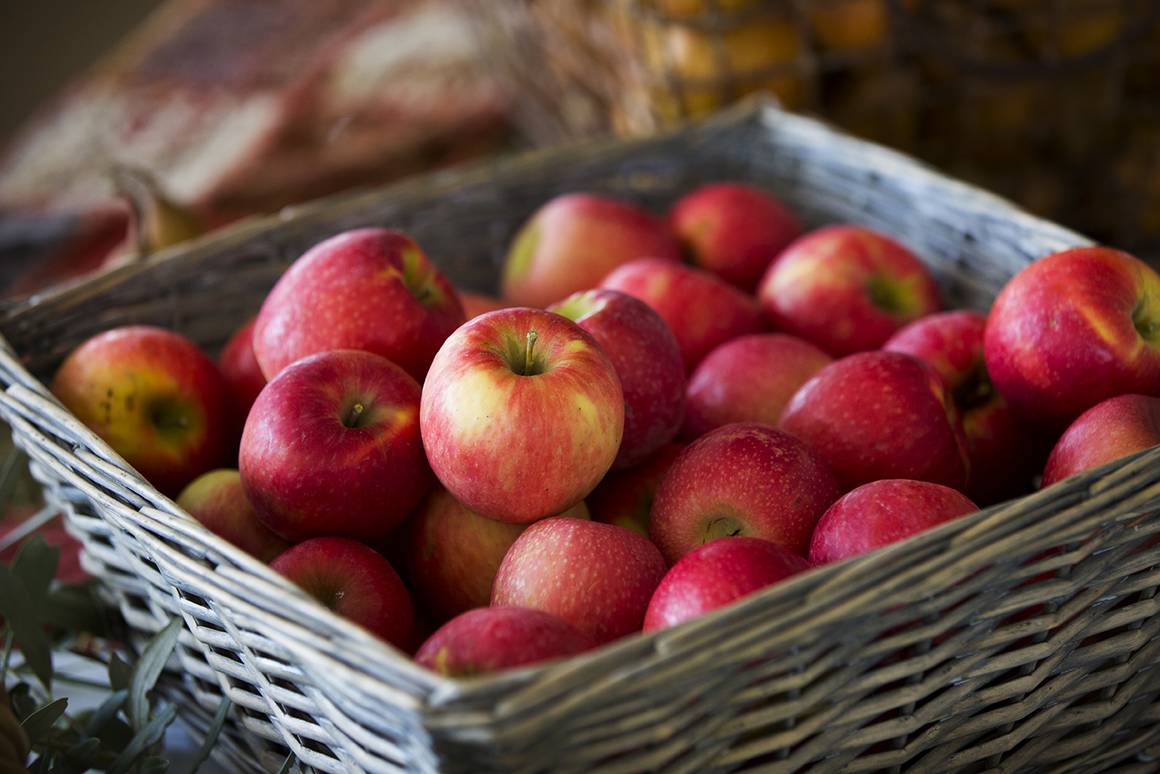 Trong 100g táo đỏ sẽ có hàm lượng calo khoảng 100 kcal cao hơn táo xanh