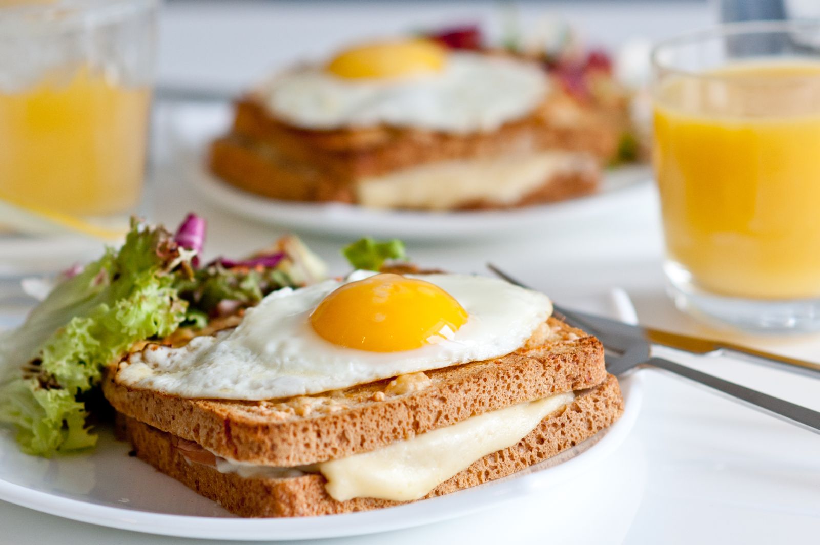 Bánh mì kẹp phô mai và trứng giúp cân bằng chất dinh dưỡng